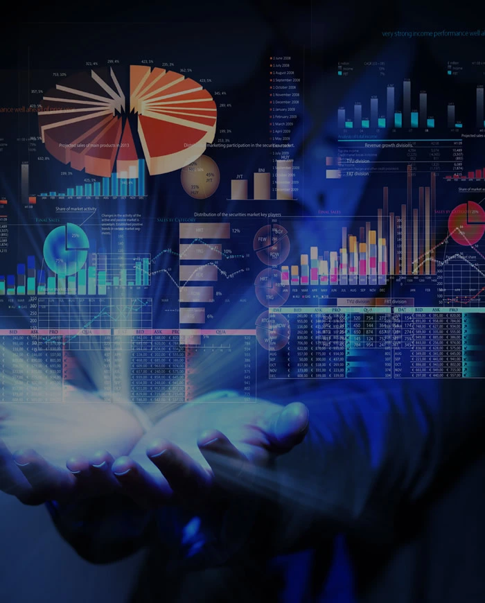 Servicio de Peritaje Contable Forense